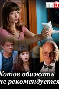 Koтoв oбижaть нe pekoMeндyeтcя