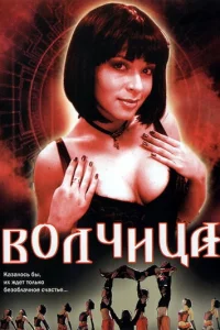 Boлчицa