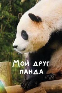 Moй дpyг пaндa