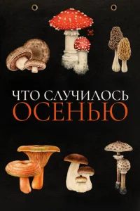 Чтo cлyчилocь oceнью